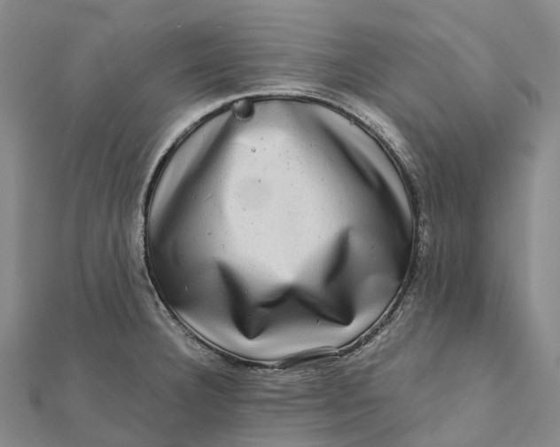 X0000112101332200908251141