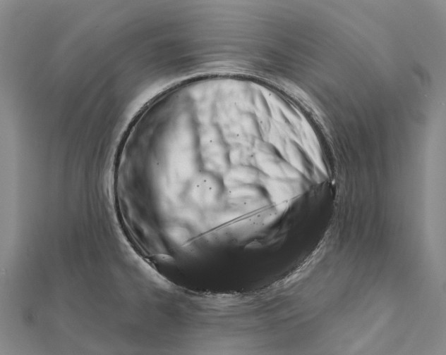 X0000112101334200908251141