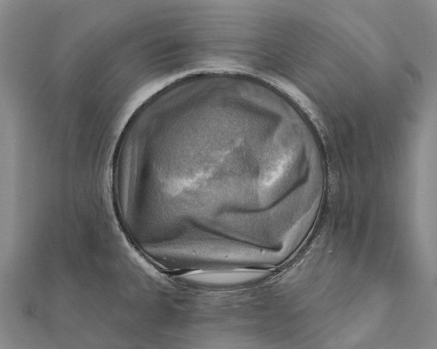 X0000112101335200908251141