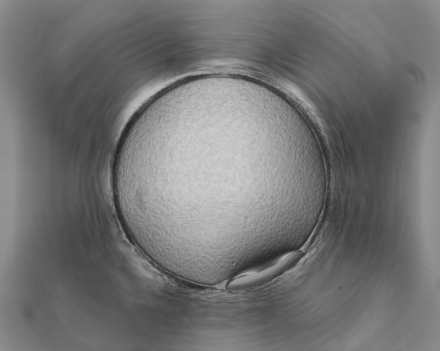 X0000112101336200908251141