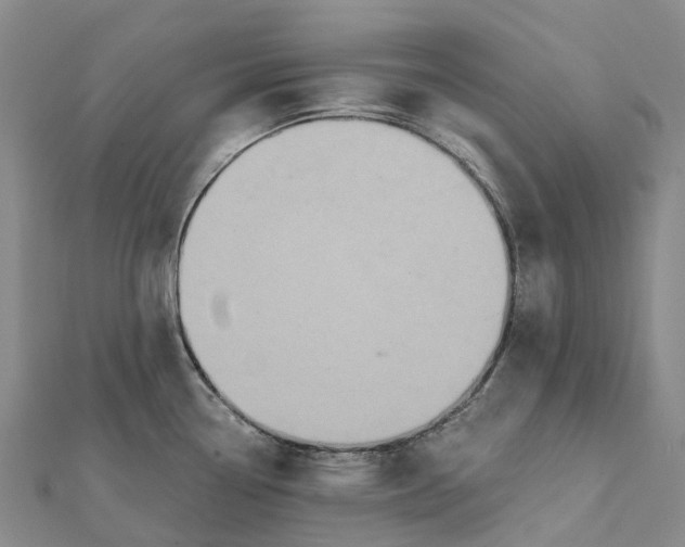 X0000112101338200908251141