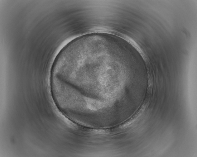 X0000112101339200908251141