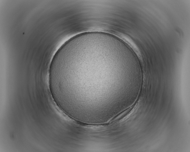 X0000112101340200908251141