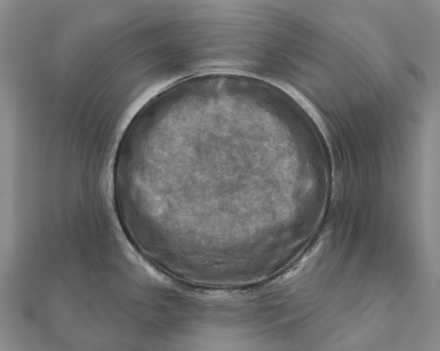 X0000112101341200908251141