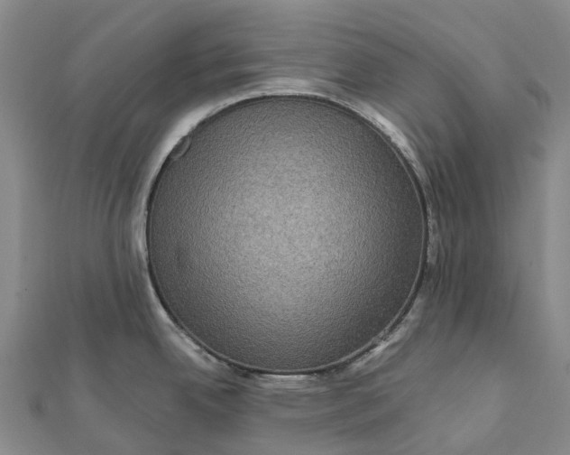 X0000112101342200908251141