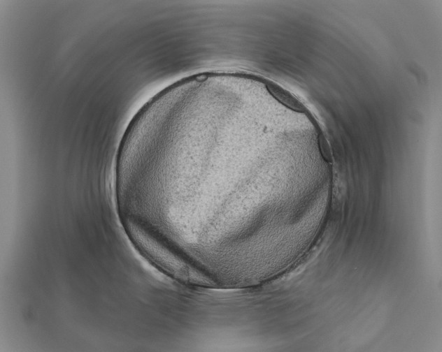 X0000112101343200908251141