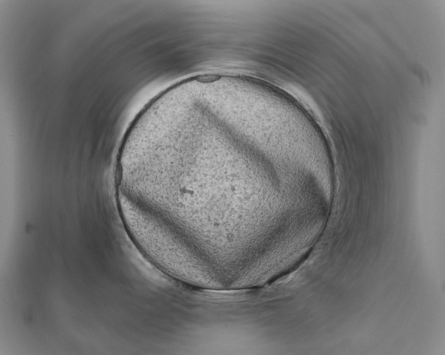 X0000112101344200908251141