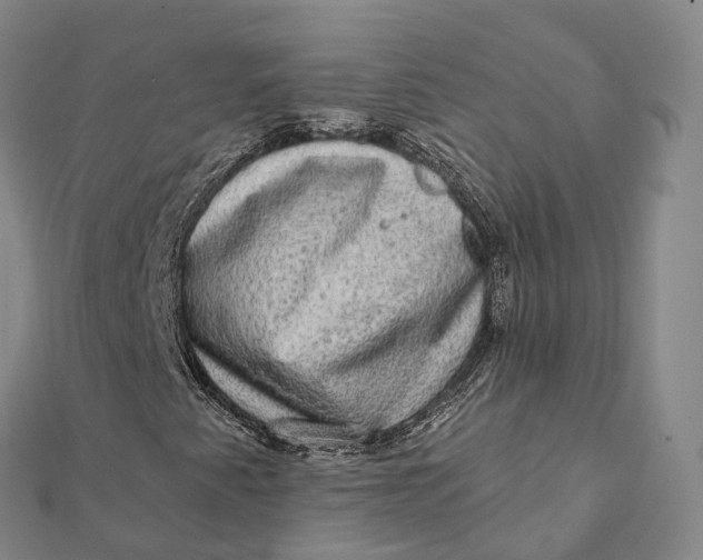 X0000112101345200908251140