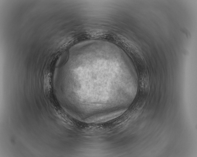 X0000112101346200908251140