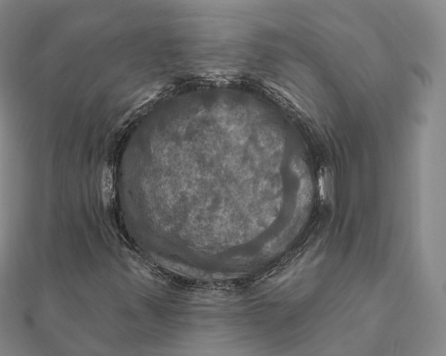 X0000112101347200908251140