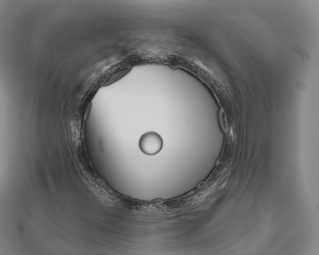 X0000112101348200908251140