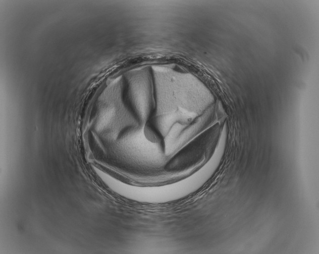 X0000112101349200908251140