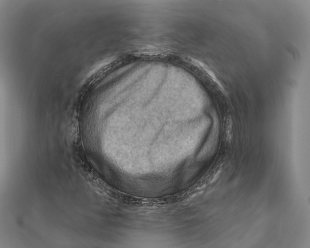 X0000112101350200908251140