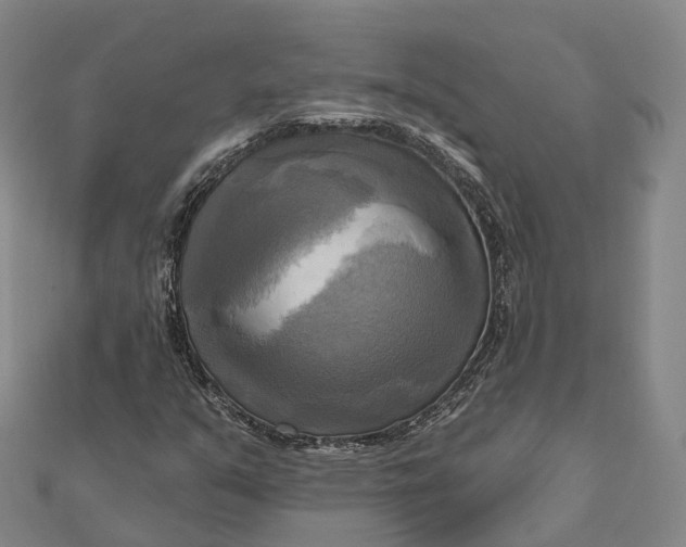 X0000112101351200908251140