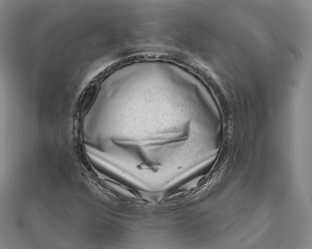 X0000112101352200908251140