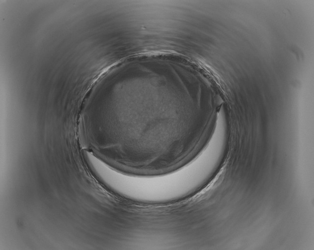 X0000112101353200908251140