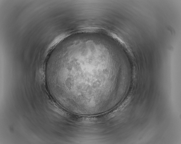 X0000112101354200908251140