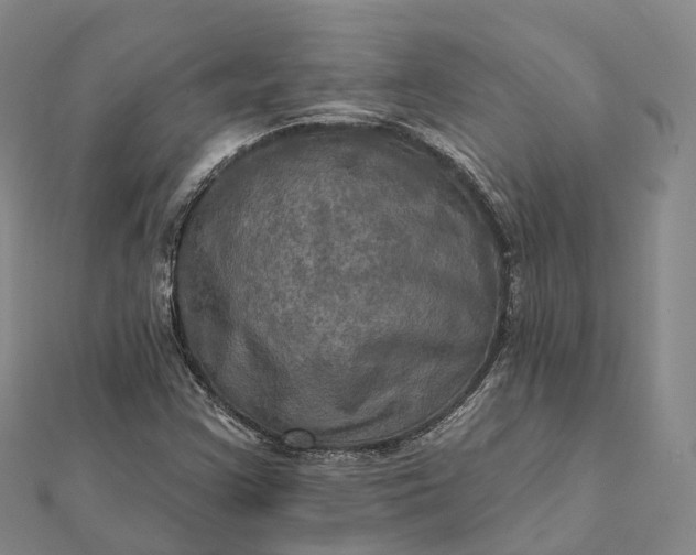 X0000112101355200908251140