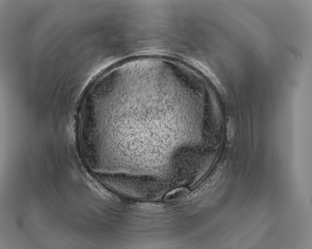 X0000112101356200908251140