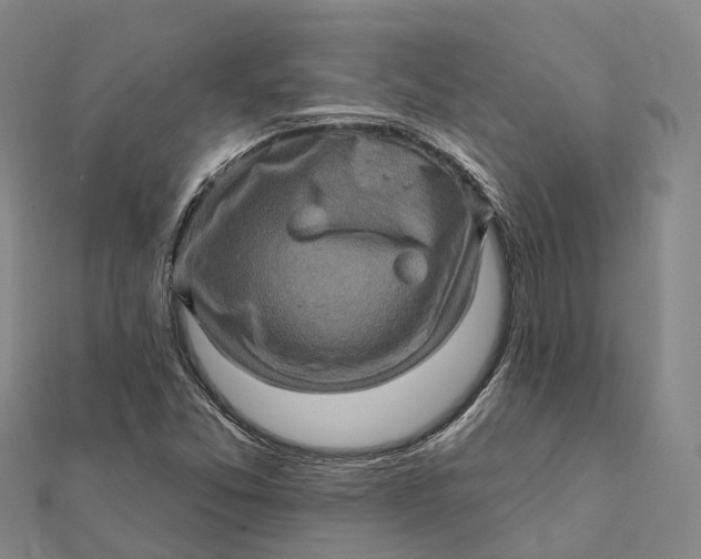 X0000112101357200908251140