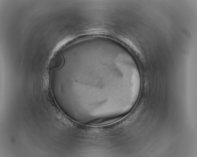 X0000112101358200908251140