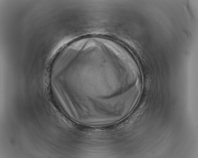 X0000112101359200908251140