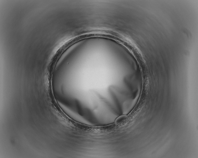 X0000112101360200908251140