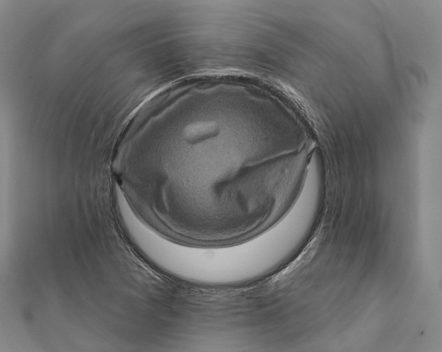 X0000112101361200908251140