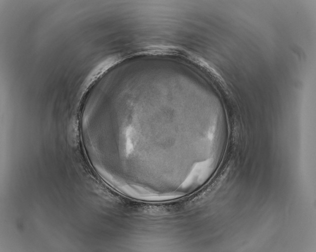 X0000112101362200908251140