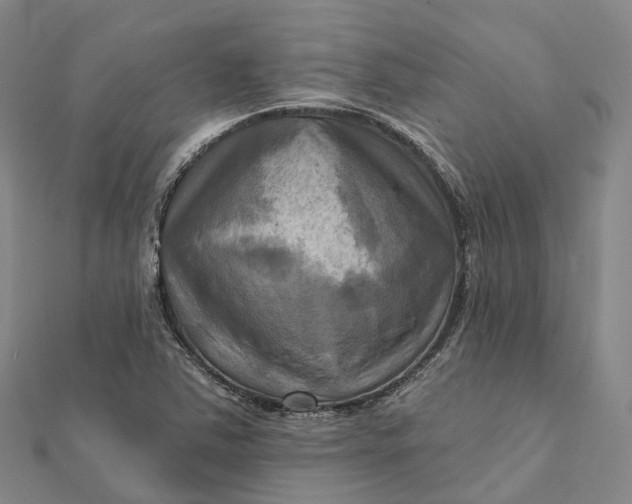 X0000112101363200908251140