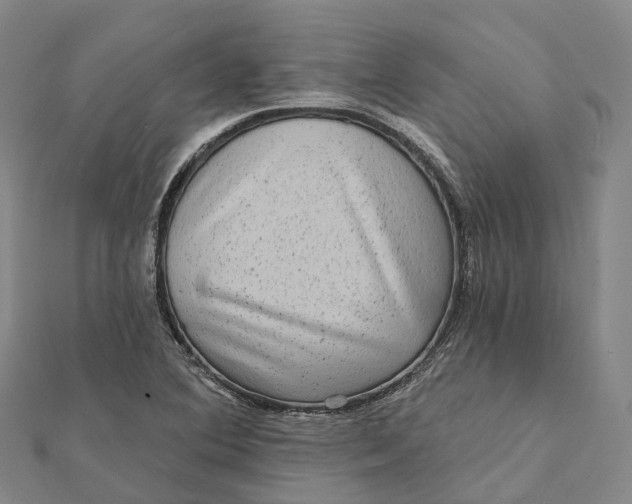 X0000112101364200908251140