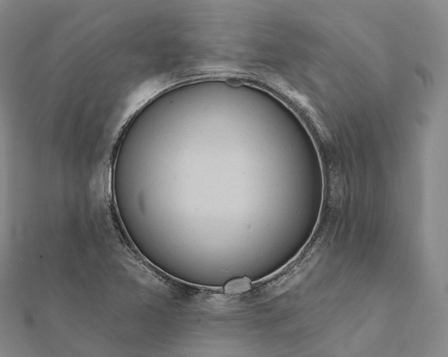 X0000112101365200908251140