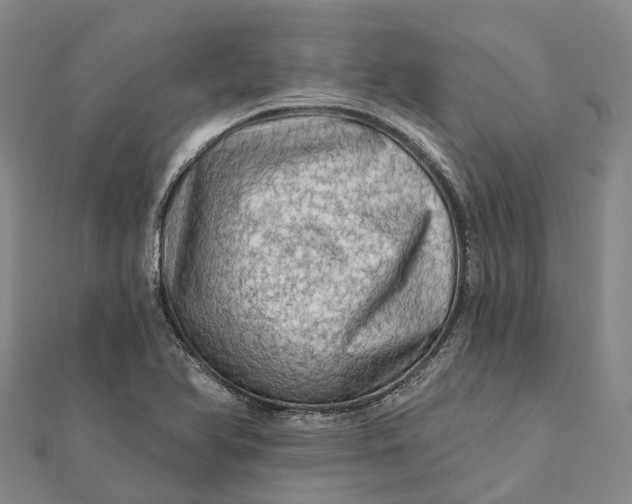 X0000112101366200908251140