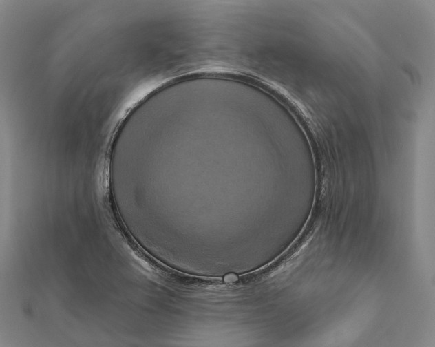 X0000112101367200908251140