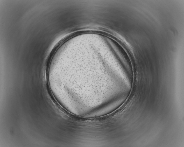 X0000112101368200908251140