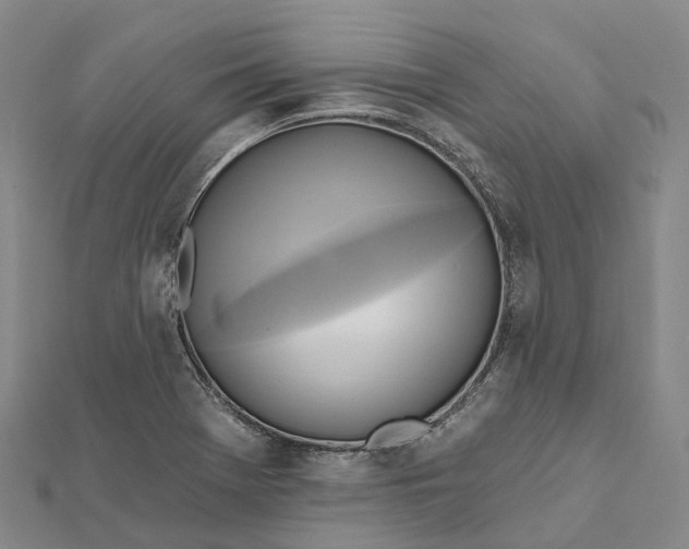 X0000112101369200908251140