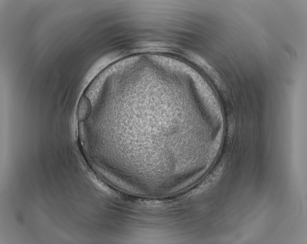 X0000112101370200908251140