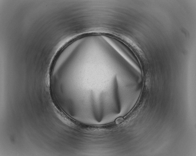 X0000112101372200908251140