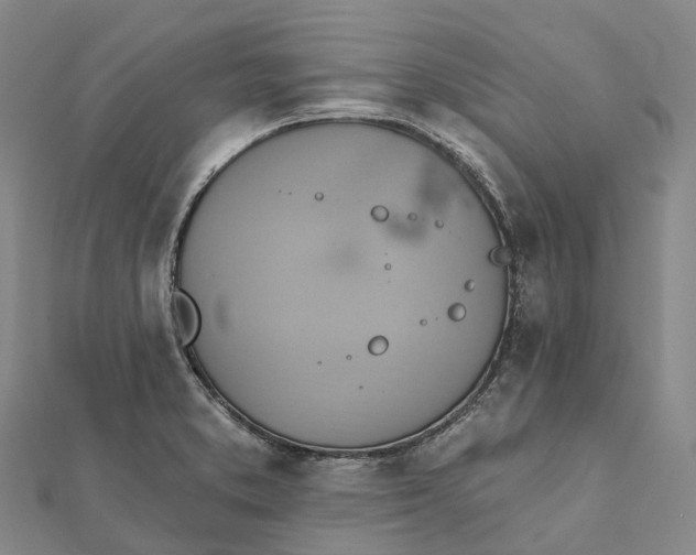 X0000112101373200908251140