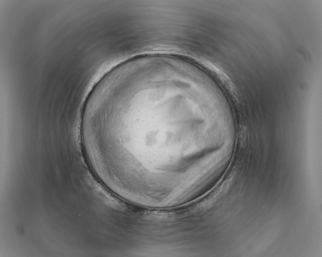 X0000112101374200908251140