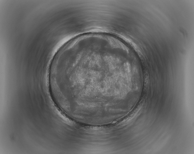 X0000112101375200908251140