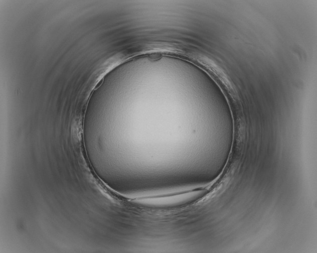 X0000112101377200908251140