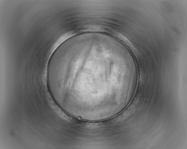 X0000112101378200908251140