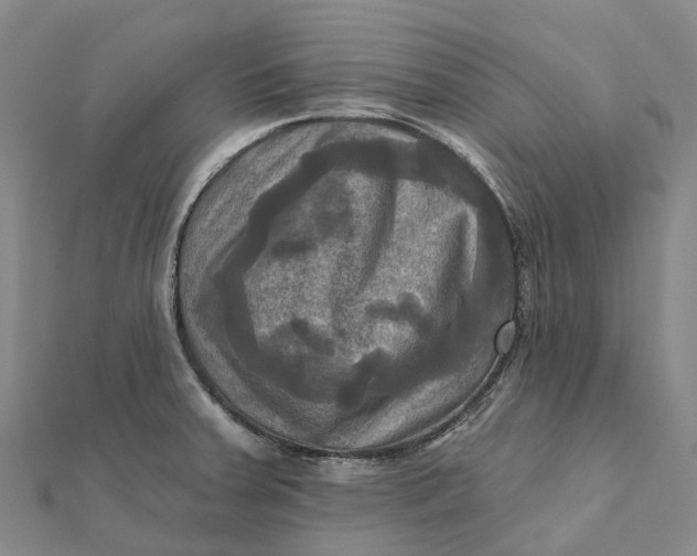 X0000112101379200908251140