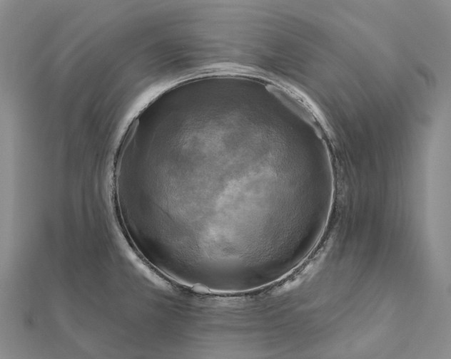 X0000112101381200908251140