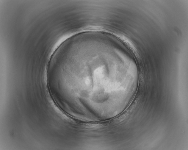 X0000112101382200908251140