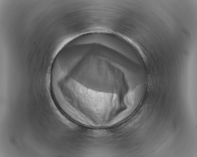 X0000112101383200908251140