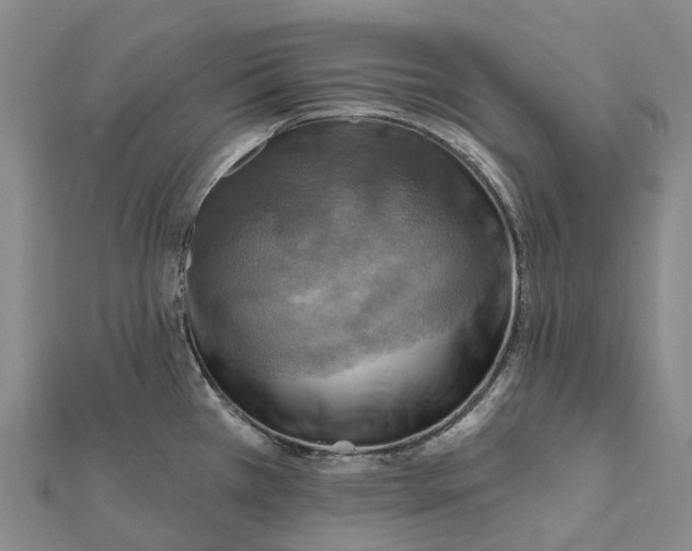 X0000112101385200908251140