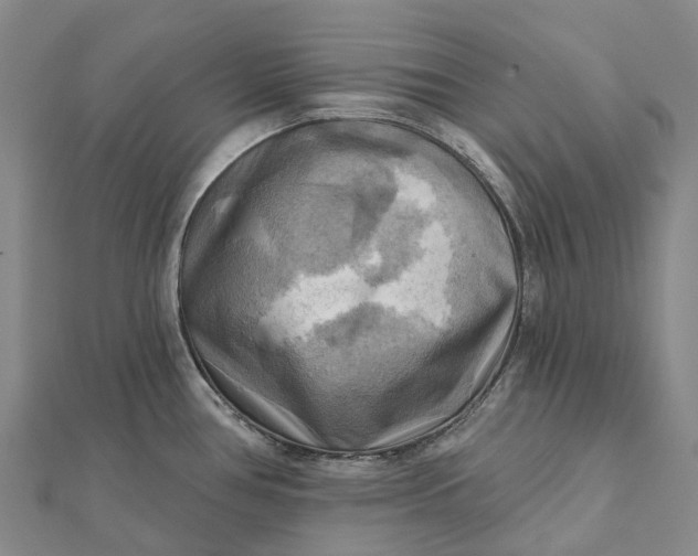 X0000112101386200908251140