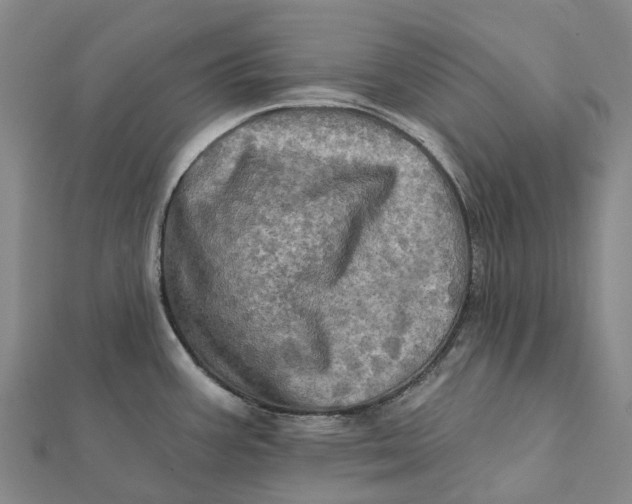 X0000112101387200908251140